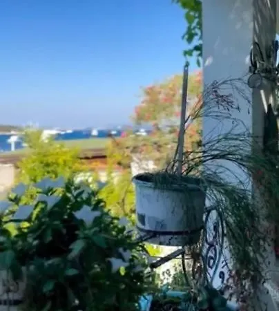 Sofi Hotel